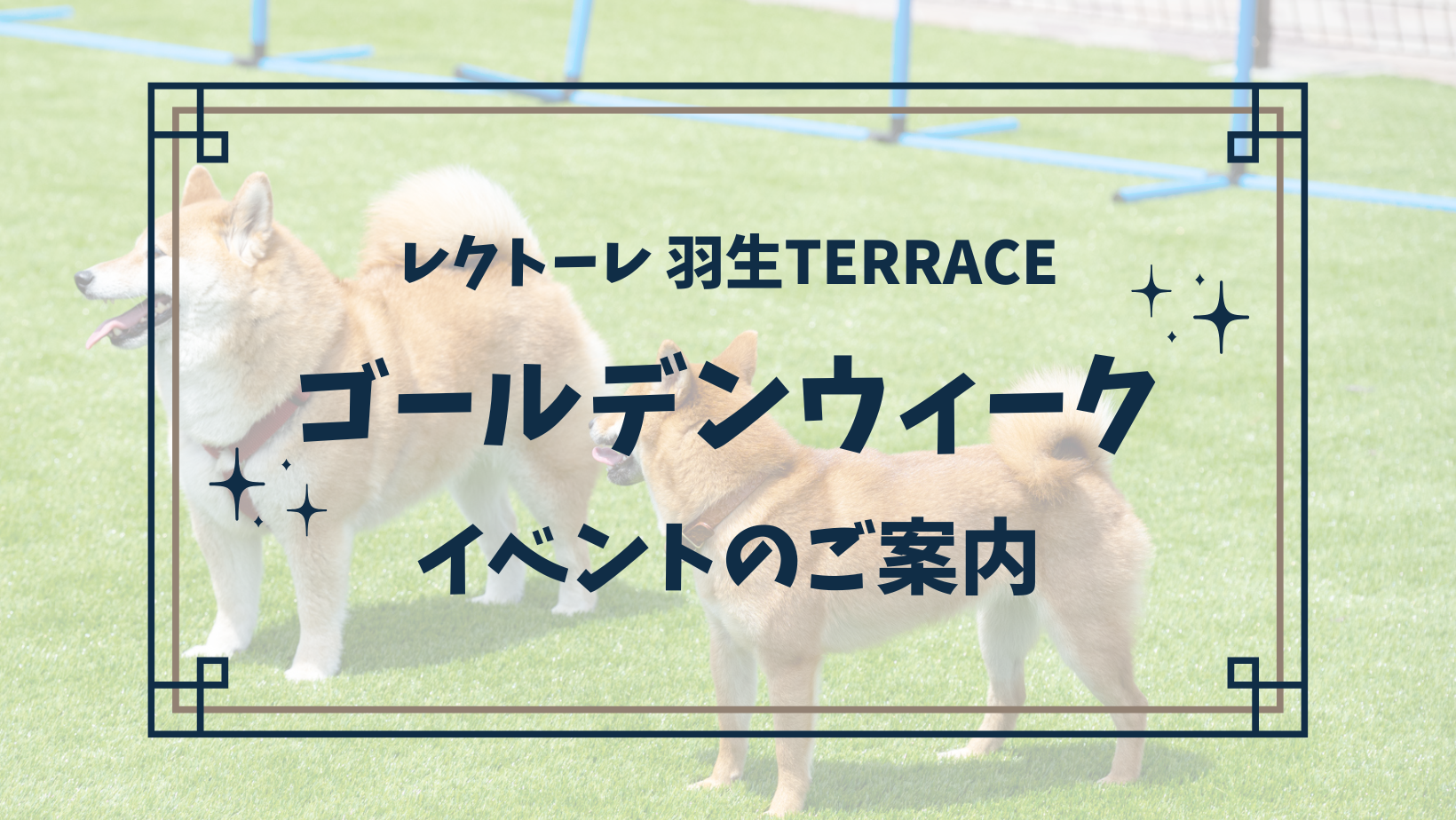 ゴールデンウィークイベントのお知らせ👪🐶