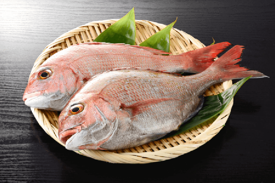 地元の新鮮な魚介類を使った満足度の高いお食事